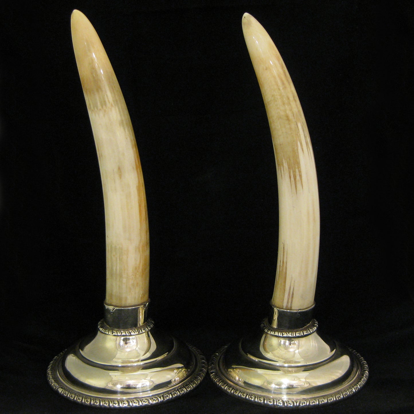 A pair of walrus paperweights